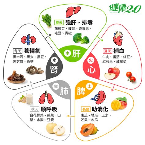 食物五行屬性